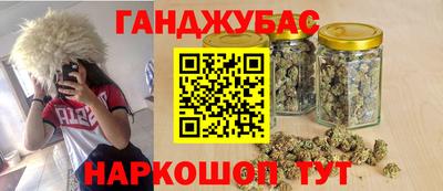 прущие грибы Бердск