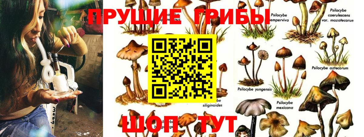 Псилоцибиновые грибы ЛСД Выкса