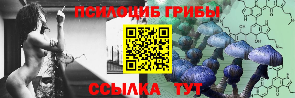 Псилоцибиновые грибы прущие грибы  Вход с VPN  Выкса 